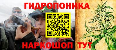 мдма Гатчина